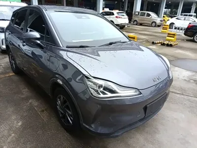NETA Neta V