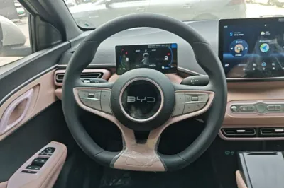 BYD Seagull