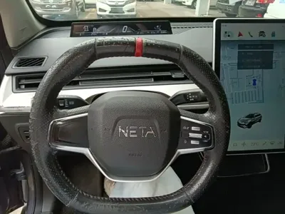 NETA Neta V