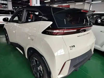 BYD Seagull