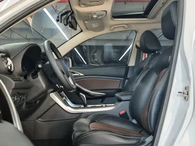 BYD New Energy