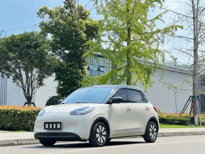 Wuling Bingo