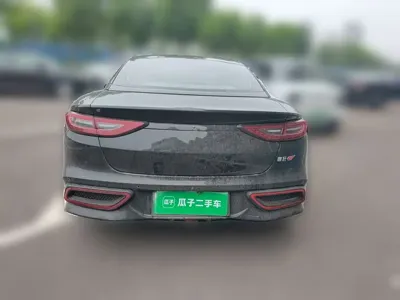 NETA Neta GT