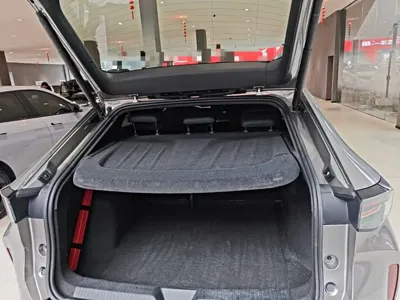 Volkswagen 06