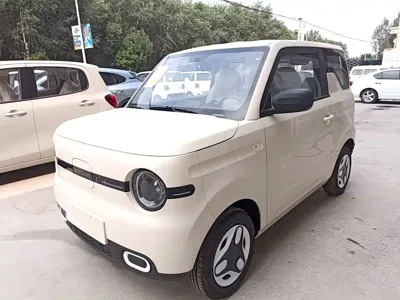 Galaxy Panda