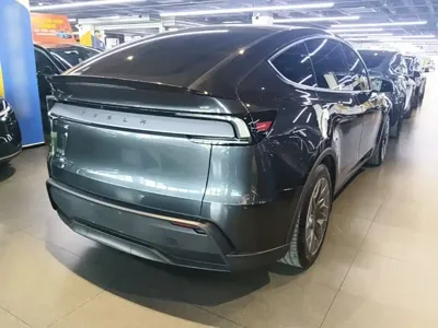 Tesla Model Y L