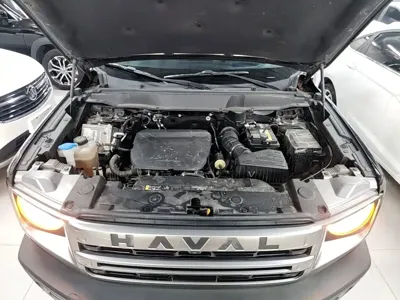 Haval Big Dog