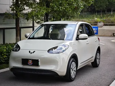 Wuling Bingo