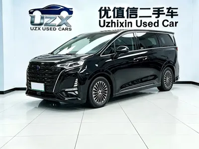 Denza Denza D9