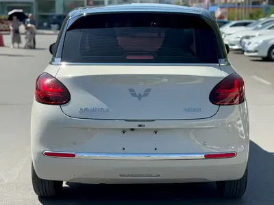Wuling Bingo