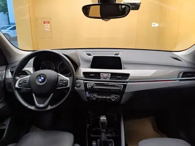 BMW X1 New Energy