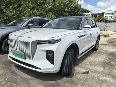 Hongqi Hongqi E-HS9