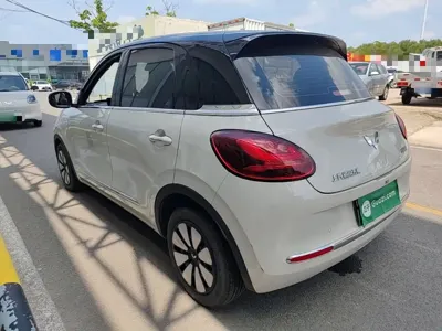 Wuling Bingo