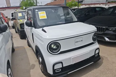 Geely Galaxy Panda
