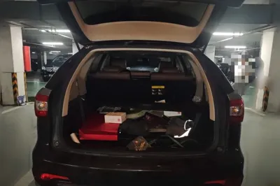 BYD S7