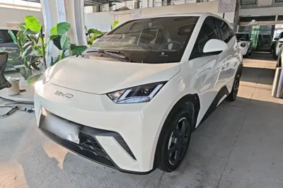 BYD Seagull