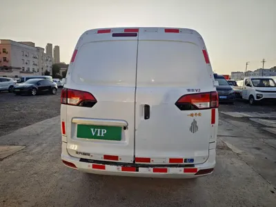 Ruixiang V2 EV