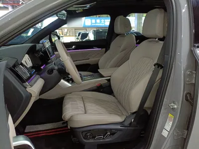 BYD Tang New Energy