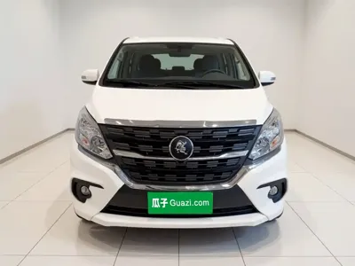 Fengxing Lingzhi PLUS