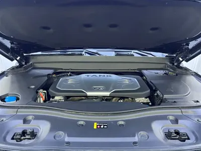 Tank Tank 700 New Energy