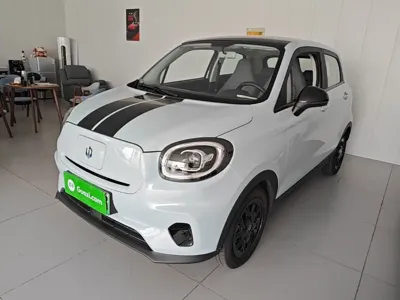Leapmotor Leapmotor T03
