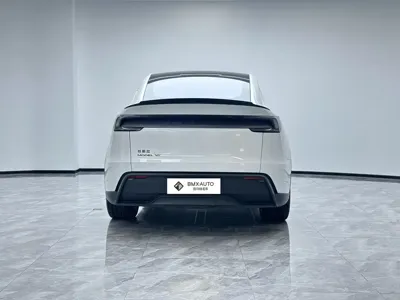 Tesla Model Y L