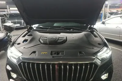 Hongqi HS5