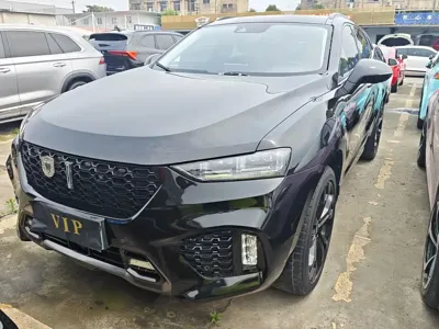 WEY Wey VV7
