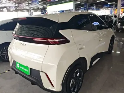 BYD Seagull