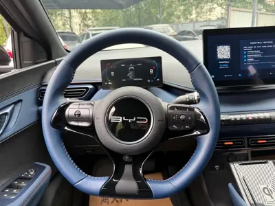 BYD Seagull