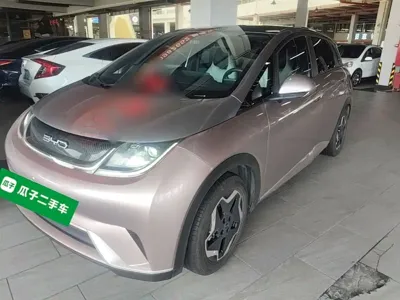 BYD Dolphin