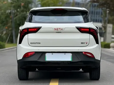 NETA Neta V