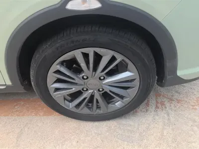 NETA Neta V