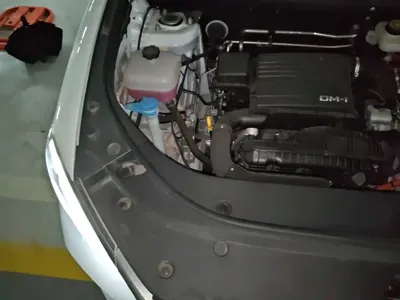 BYD Pro New Energy