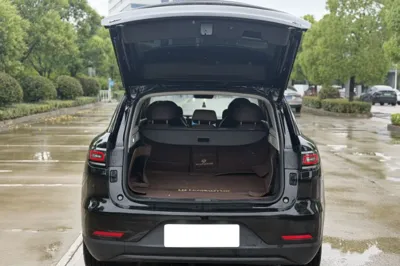 Leapmotor C11
