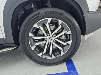 Haval Big Dog
