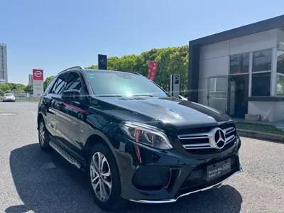 Mercedes-Benz 奔驰GLE(进口)