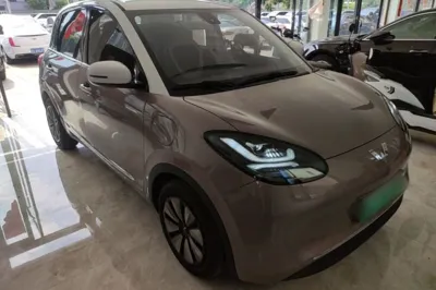 Wuling Bingo