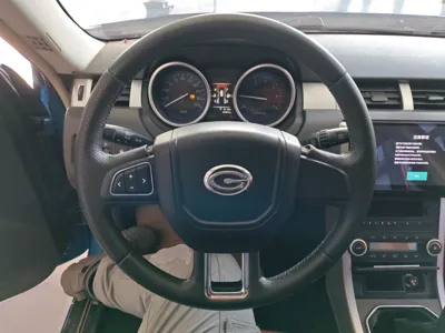 Gonow GX6