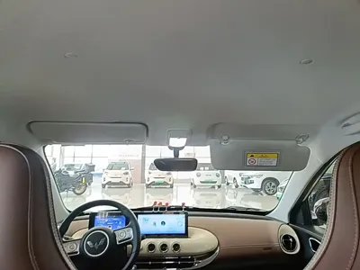 Wuling Bingo