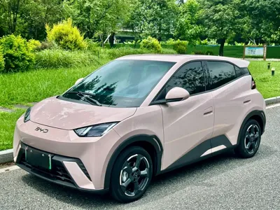 BYD Seagull