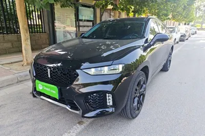 WEY VV7