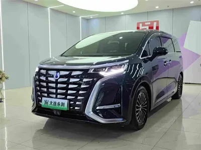 Denza Denza D9