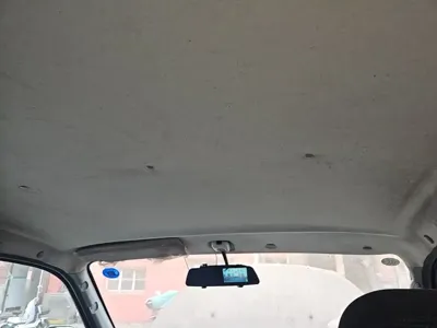 Foton Maverick E