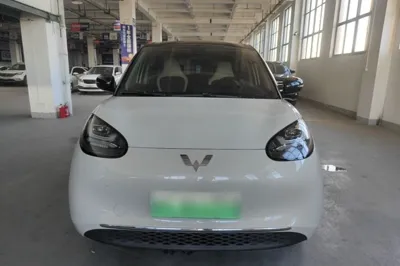 Wuling Bingo
