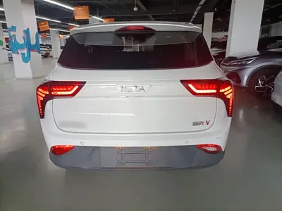 NETA Neta V