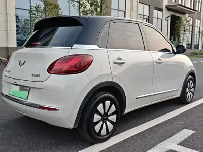 Wuling Bingo