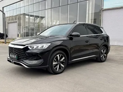 BYD Pro New Energy