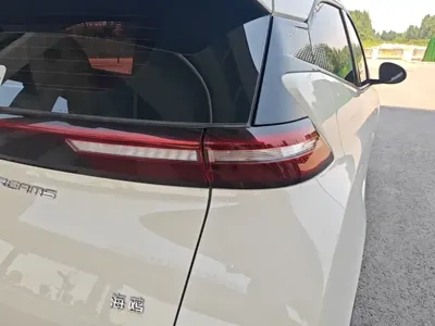 BYD Seagull