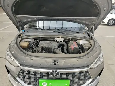 BYD PLUS